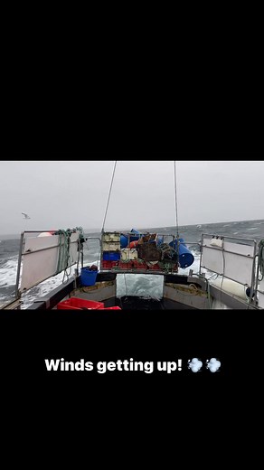 A bit different from the day we had yesterday! Winds not falling away like it was forecast too either. 🙄 A few more to move and make safe before the big wind comes on Friday. Can go home then and stick the feet up! | Amethyst SY305 Orkney Shellfish
