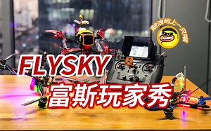 11月富斯玩家秀Paladin PL18野外花飞