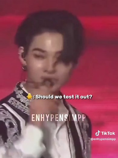 Fate Plus in Seoul: Compilation of Enhypen Roasting Engenes | ENHYPEN Concert 2024