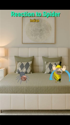 Reaction to spider #funny #catmeme #storytime