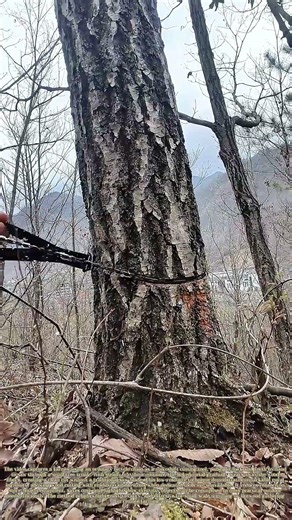 Pulling a Bike Chain: How a Simple Metal Loop Saws Through Wood Efficiently