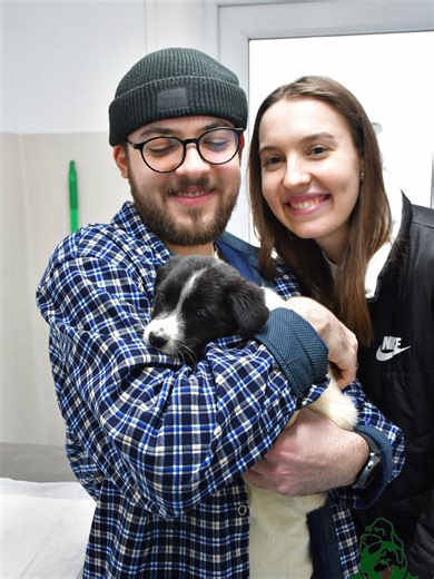 De acum înainte, Kiki nu mai are nevoie de un mesaj de adopție, ci de o pernă confortabilă și un program de plimbare stabil. Mulțumim, Andrei, pentru decizie și pentru că ai înțeles că unele lucruri nu se explică prea mult, ci pur și simplu se iau acasă. Kiki începe noul capitol. Iar noi rămânem cu dovada că finalurile fericite chiar există. ❤ Un pui a plecat acasă, alții abia au fost salvați. Sprijină-ne să le oferim tuturor o șansă — donează pentru următorul început: https://adapostulsperanta.