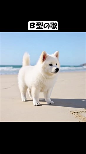 「B型あるあるの歌」 えー、血液型の話は多くあるものですねぇ、 どこの飲み屋でも盛り上がっていまして。 A型は几帳面だの、 O型は大らかだの言いますけど、 B型の話になるとね、みんなだいたい笑ってますよ！ たとえば趣味に興味をもったら朝まで夢中。 感情が表に出てきたかと思うと、 次の瞬間は無表情で「何考えてるの？」 なんて聞いたりしてね。 まあ、そんなB型さんの「あるある」を なんとなく見てみたら、 どこかに自分もいる気がしてしまいますな。 ――今日はそんな曲を一曲どうぞ！ #B型あるある #B型の歌 #血液型診断 #血液型性格 #血液型トーク