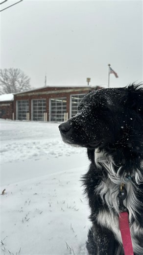 Misty taking in one of the many snow squalls on this wintry Monday across the Tri-State. - Monday, January 26th, 2026 | Dillon Gaudet Weather