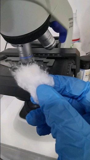 Cotton under the microscope #laboratory #microscope #mls #cls #cotton #fiber