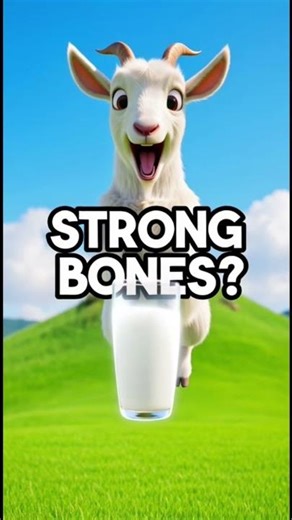 Chiken,goat and fish. #grokai