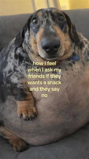 Agreeing with Friends About Snacks: Funny Relatable Moments