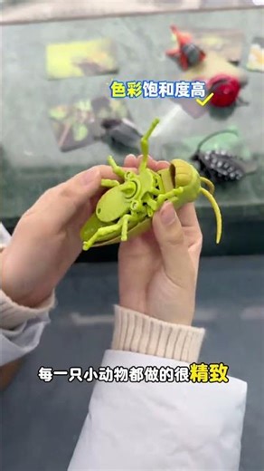 I bought seven moving insect models for my child. They are all so lifelike. The child was