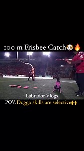 Doggo skills are selective. Like my listening. Doggo 100m Frisbee Catch🤩🐶. #dogs #training #doberman #dog #frisbee #catch #FrisbeeChallenge #Amazing #skills #dogskills #talent #reelsviralシfb #reelsfbシ | Labrador Vlogs