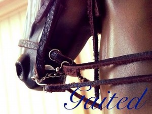 Breyer horse movie 'Gaited' "Welcome Home" part 1 season 1 600 subs