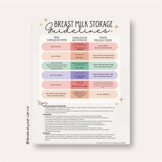Ultimate Breast Milk Storage Guide | A4 & US Letter | Bonus Spanish Version   Expert Tips - Etsy
