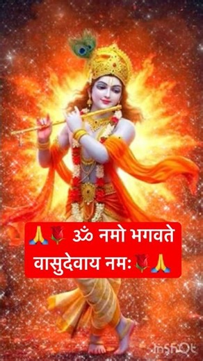 🙏🌹 ॐ नमो भगवते वासुदेवाय नमः🌹🙏 #bome#adam #krishnabhajan #krishna#jaishreekrishna #radhekrishna
