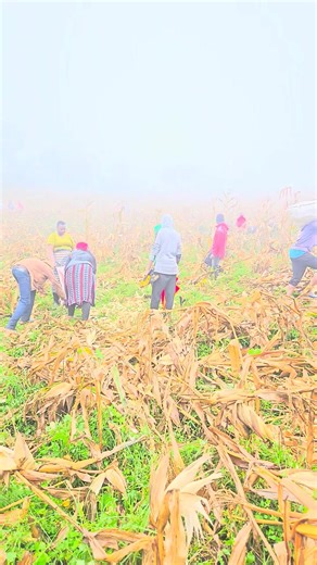 Hon Joyce Korir Bomet on Reels