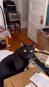 46K views · 10K reactions | Another BIG milestone!! ‍⬛ . Wow. Here...