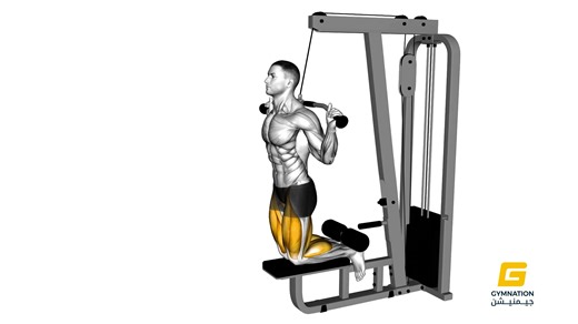 Cable Assisted Inverse Leg Curl