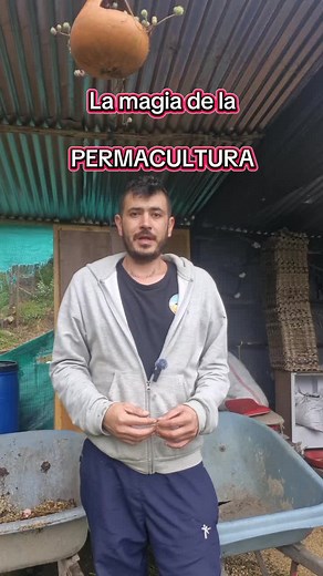 Permacultura: Soluciones para un Diseño Sostenible