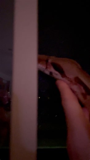 Even the pet snakes in Arizona get excited when it finally rains. We had the window open tonight and Cleo seemed captivated by the lightning show and humidity. Anyway Cleo and I will be watching the storm if you need us. ✌️ #arizona #snakes #pets #thunderstorm #monsoon #boa #python #snakes #phoenix #monsoon | Herpin Hippie