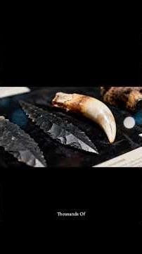 Divers Found 3,000-Year-Old Artifacts in Ohio That Prove Ancient America Was Fully Connected