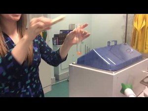 9-1 GCSE Biology Required Practical 4 - Food Tests