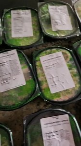  OUR BEST OFFER EVER! ONLY $5.39 A MEAL + GET A $600 GIFT CARD.  Start strong and stay on track with our Chef Prepared meals that fuel your goals. FlexPro makes it simple: ️ Only $5.39 a meal ⏱️ Heat and eat in minutes  Packed with flavor, not effort ★★★★★ Rated "Excellent" by 11k+ Trusted Customer Reviews Don’t wait – claim your deal today! | FlexPro Meals | Facebook