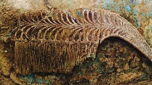 3,500-year-old tomb of ancient warrior uncovered