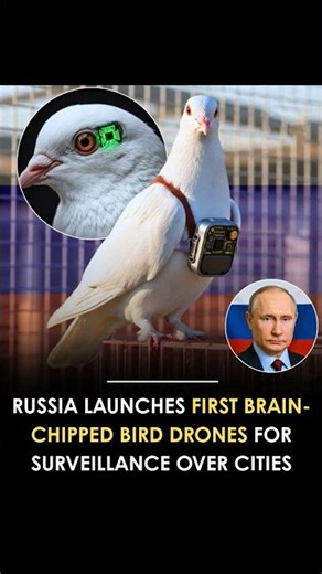 Russia’s Mind-Controlled Birds! 🧠🚨 #drone #russia #tech #innovation