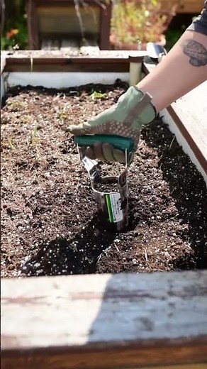 How to Use a Bulb Planter