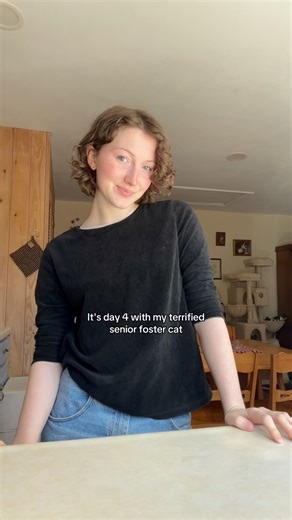 DAY 4 with caroline ❤️ #fyp #seniorcat #catsofinstagram #fostercat | Lucille The Rescue Cat