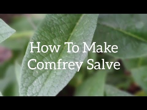 How To Make Comfrey Salve