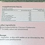 mars by GHC Fat Burn Capsules with Psyllium Husk, Moringa & Dandelion Root | Herbal Blend for Active Routine | Pack of 2 | Pack of 120 Capsules