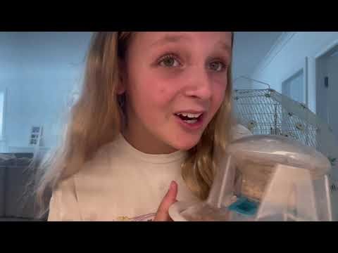 How I Clean My Budgie’s Cage | Step-by-Step Bird Cage Cleaning 🐦