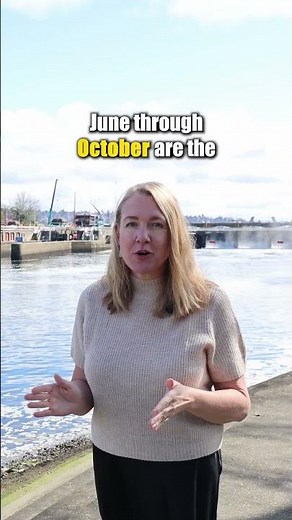 Best Time to Visit the Ballard Locks Fish Ladder to See Salmon! #seattle #ballard #travel