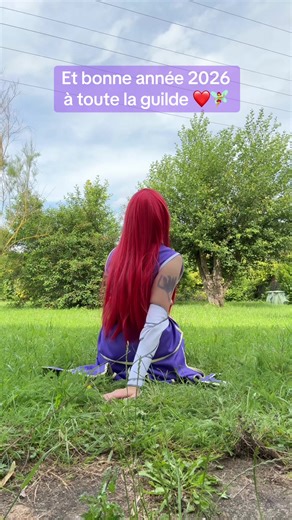 Bonne année à toute la guilde Fairy Tail !