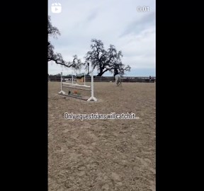 Horse Jumping: Equestrian Show Jumping Skills