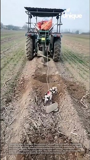 Farming for beginners: a simple guide to planting seeds