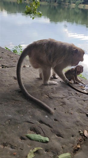 Gracie so busy baby | Hand Products