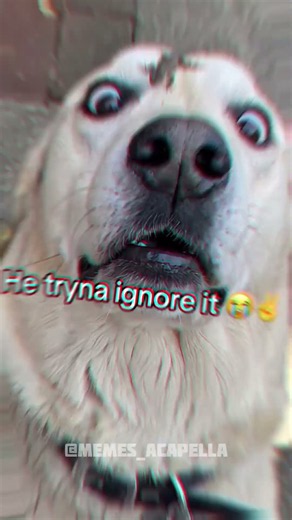 no batidao acapella 🗣️🔥🔥🔥 #usa #song #funny #acapella