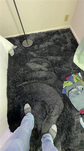 It’s just a Area Rug . #fyp #rug #bluecollar #family #tiktokshop