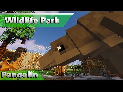 Pangolin | Wildlife Park