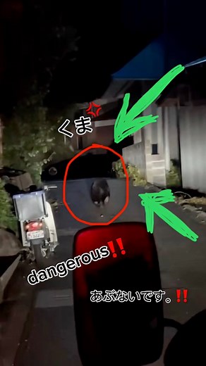 Everyone be careful in Mountain side and village in Japan, kuma are very dangerous.. The video was taken by the Nishiaizu Town Autonomous District Fire Department #japan #Amazing #becareful #JapanUpdates #fblifestyle #japanlife | Japan Capture