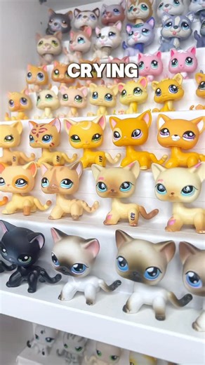 Kazley LPS 🎀🐾 on Instagram: "They did her dirty 😭💔 What do you think of the new G7 LPS shorthair cats? It is definitely one of the most drastically different reproduction mould we have seen so far! 🤔😳 #LPS #newlps #littlestpetshop #collection #toys"