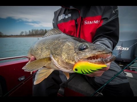 Fish Rippin' Raps for Huge Post-Spawn Walleyes -- IDO "Hooked Up!" on Sturgeon Bay, Wis.