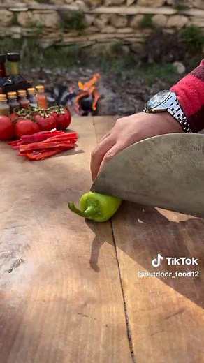 Outdoor Cooking Tips for Survival Enthusiasts