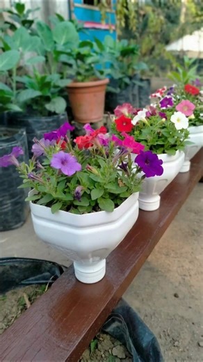Beautiful bottle garden making method | Bottle garden making ideas #bottlegarden
