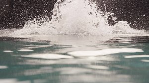 Buy the all-new Speedo Socket 2.0 swim goggle at SpeedoUSA.com | Speedo USA | Facebook