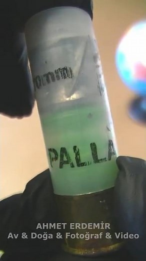 Cheddite Palla 16 gauge hunting cartridge review #hunting #shotgunshells #weaponsystems #ammo #ammu