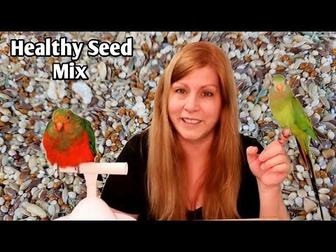 Healthy seed mix for birds | How I make my own Bird Seed Mix