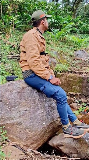 hidden spots | wayanad | forest | nature | jungle sounds