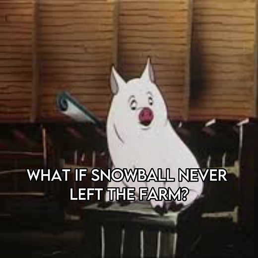 SnowballnegsNapoleon on TikTok