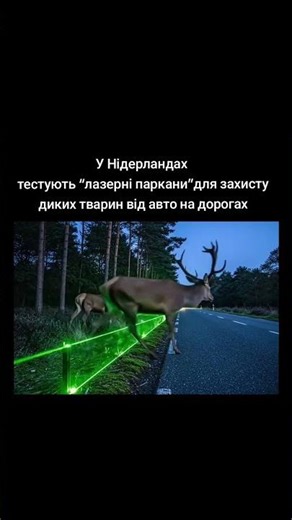 Як вам інновація?